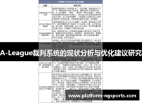 A-League裁判系统的现状分析与优化建议研究