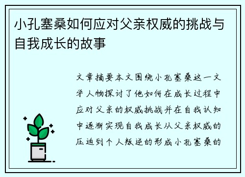 小孔塞桑如何应对父亲权威的挑战与自我成长的故事