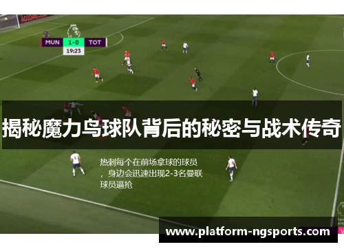 揭秘魔力鸟球队背后的秘密与战术传奇