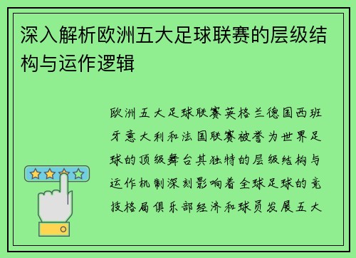 深入解析欧洲五大足球联赛的层级结构与运作逻辑