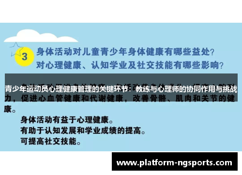 青少年运动员心理健康管理的关键环节：教练与心理师的协同作用与挑战